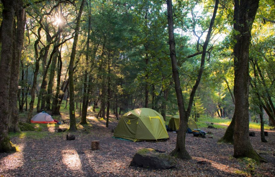 Sugarloaf Ridge State Park, California, USA